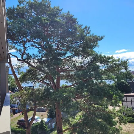Park View Daire